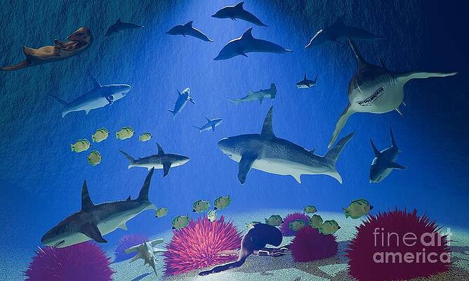  Digital Art - Ocean Life by Corey Mineo