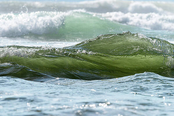 Ocean Wave-July 8, 2021-DSC_4897 by Johanna Froese Ocean Wave-July 8, 2021-DSC_4897 by Johanna Froese