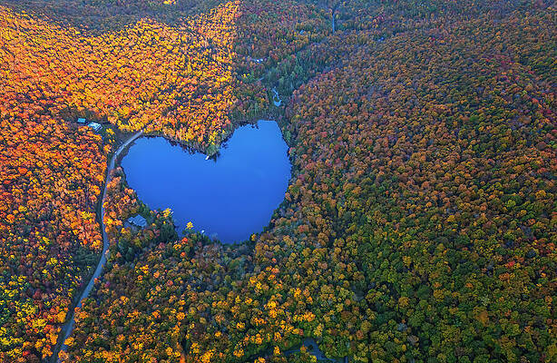 Wall Art - Photograph - October Heart by Mircea Costina Photography