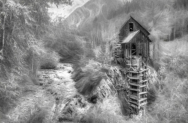 Ode to Wynn Bullock by Wayne King Ode to Wynn Bullock by Wayne King