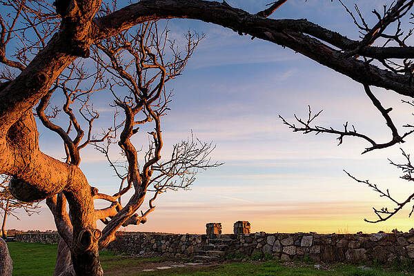 Odiorne at Dawn. by Jeff Sinon Odiorne at Dawn. by Jeff Sinon