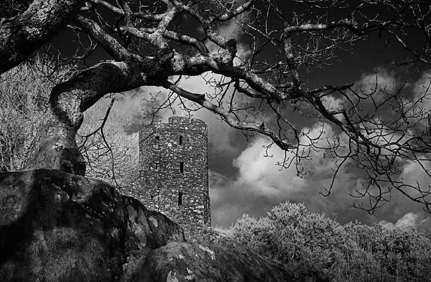 Old Arched Tree and Folly by Mark Robert Davey Old Arched Tree and Folly by Mark Robert Davey