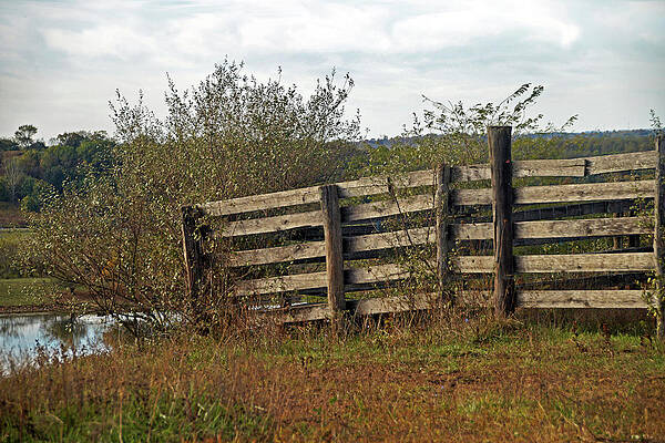 Wall Art - Photograph - Old Fence in a Field by Mike Murdock