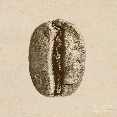 Wall Art - Photograph - Old gold by Jorgo Photography