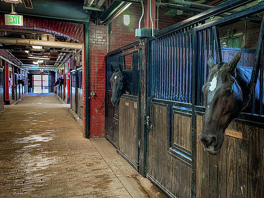 Old Guard Stables by Lora J Wilson Old Guard Stables by Lora J Wilson