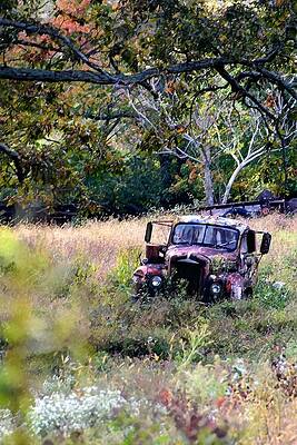 Wall Art - Photograph - Old Rust in a field by Lauren Sage