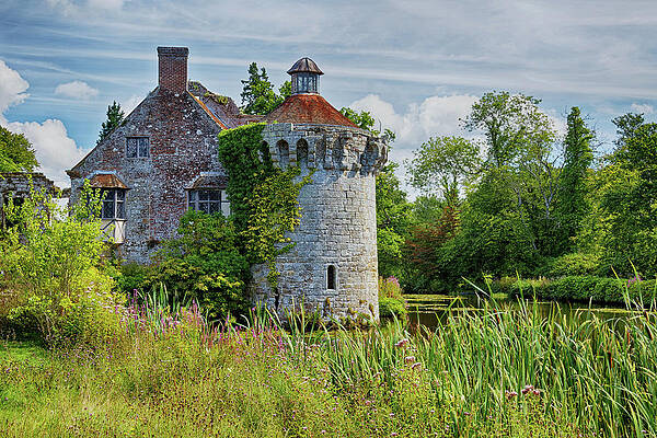  Photograph - Castle in the reeds by John Gilham