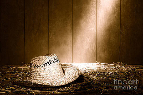 Old West Farmer Hat by American West Legend
