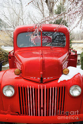 Ole Red 6220 by Lawrence Burry Ole Red 6220 by Lawrence Burry
