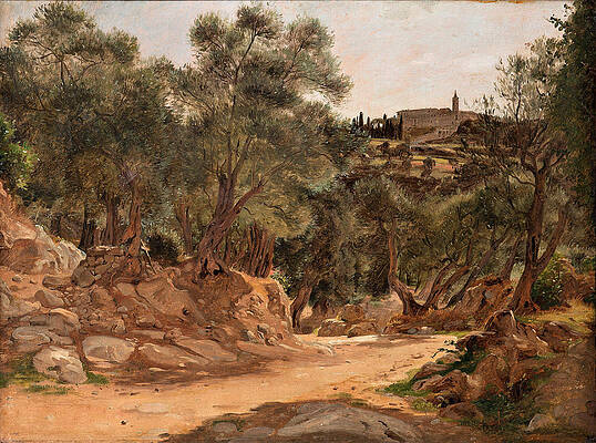 Olive Grove from Tivoli near Rome Print by Jorgen Roed