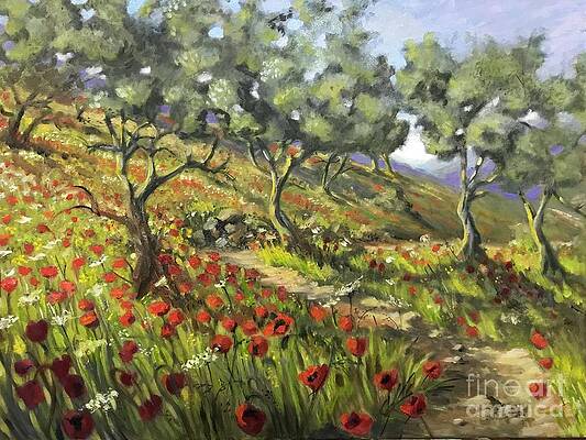 Olive Grove with Poppies by Yvonne Ayoub Olive Grove with Poppies by Yvonne Ayoub