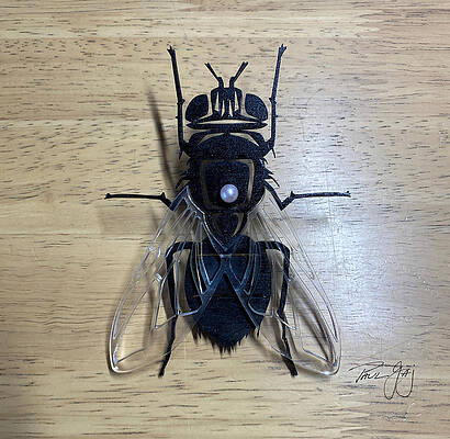 One Fly on the Wall by Paul Gaj One Fly on the Wall by Paul Gaj