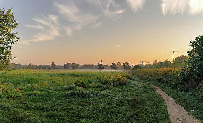 Wall Art - Photograph - Open field with grass and a path leading to a tree in the morning with sunlight penetrating straight during sunrise against dramatic clouds, beauty in nature by Arpan Bhatia