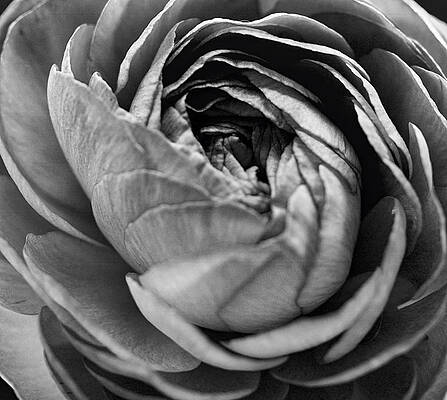 Open just for you by John Challinor