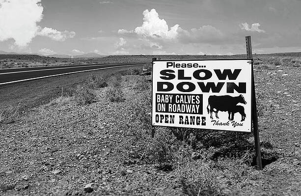 Open Range BW by Bob Pardue Open Range BW by Bob Pardue