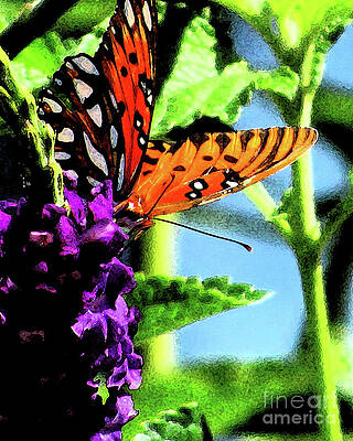 Orange Butterfly Queen on Purple Flower by Ron Tackett Orange Butterfly Queen on Purple Flower by Ron Tackett