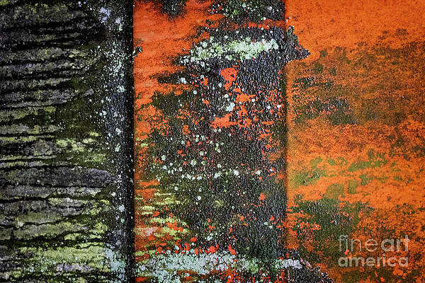ORANGE CRUSH by Doug Sturgess ORANGE CRUSH by Doug Sturgess