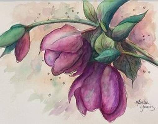 Orchid Tree by Marsha Young Orchid Tree by Marsha Young