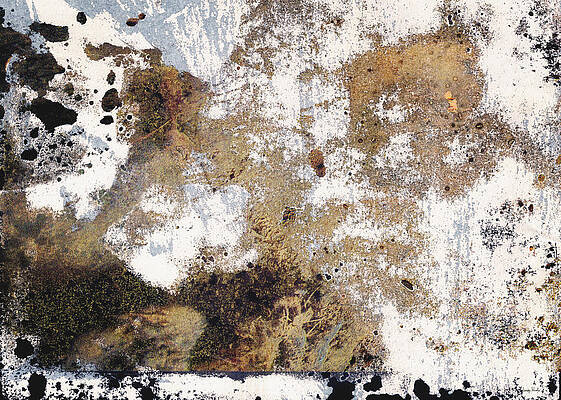 Neutral Tones Mixed Media Fine Art America
