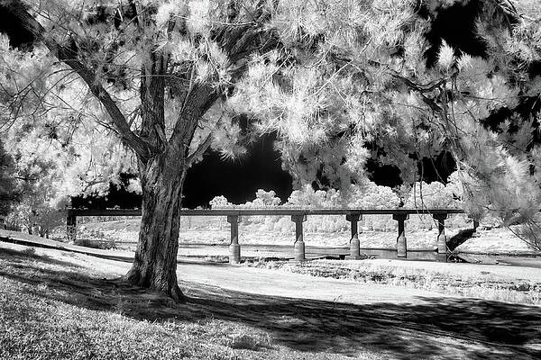 O'Sheas Bridge - Infrared by Murray Fox O'Sheas Bridge - Infrared by Murray Fox