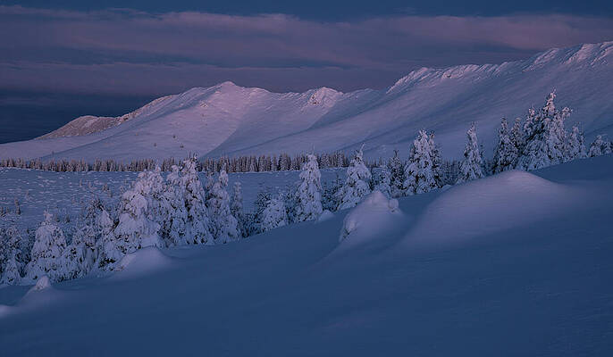  Photograph - Oslea Ridge in winter by Cosmin Stan