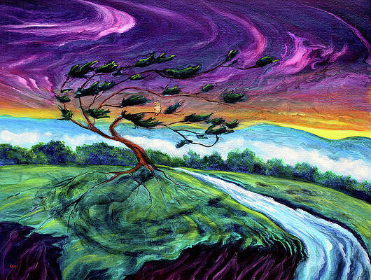 Owl in a Windswept Cypress by Laura Iverson Owl in a Windswept Cypress by Laura Iverson