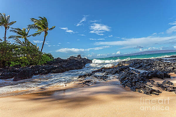 Wall Art - Photograph - Paako Morning by Chris Spencer