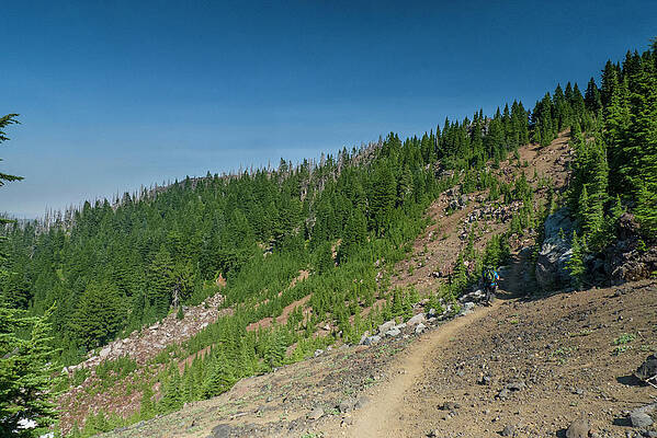 Pacific Crest Trail by David L Moore Pacific Crest Trail by David L Moore