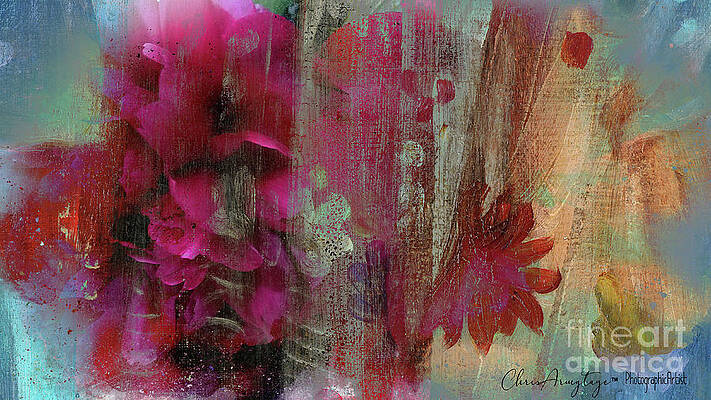 Painted Peonies Abstract by Chris Armytage Painted Peonies Abstract by Chris Armytage