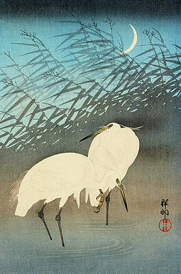 Japanese Crane Art (Page #10 of 15) | Fine Art America