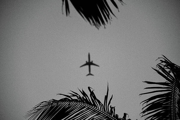 Palm Air, Miami by Spencer Bomstein