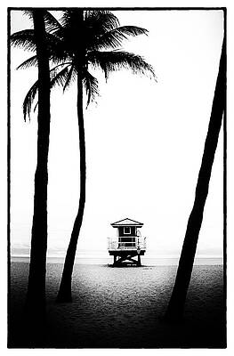 Palm Silhouette and Lifeguard Tower on Empty Hollywood Beach Fort Lauderdale Florida Black and White by Shawn O'Brien Palm Silhouette and Lifeguard Tower on Empty Hollywood Beach Fort Lauderdale Florida Black and White by Shawn O'Brien