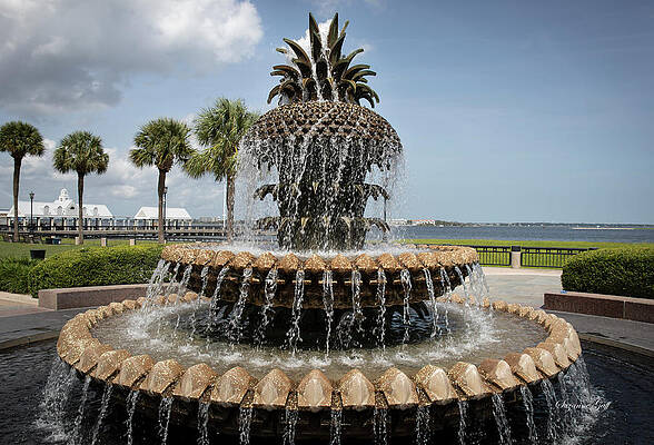 Palmetto Fountain - Charleston by Suzanne Gaff Palmetto Fountain - Charleston by Suzanne Gaff