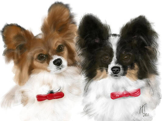 Papillon Best Friends by Lois Ivancin Tavaf Papillon Best Friends by Lois Ivancin Tavaf