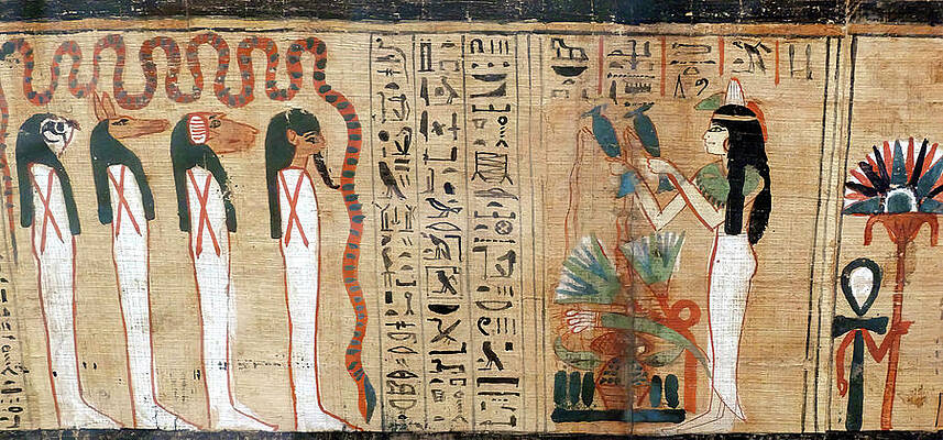 Wall Art - Photograph - Papyrus with hieroglyphs and scenes from the Book of the Dead by Steve Estvanik