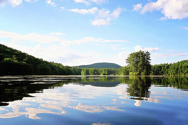 Paradise Pond by Sue Collura Paradise Pond by Sue Collura