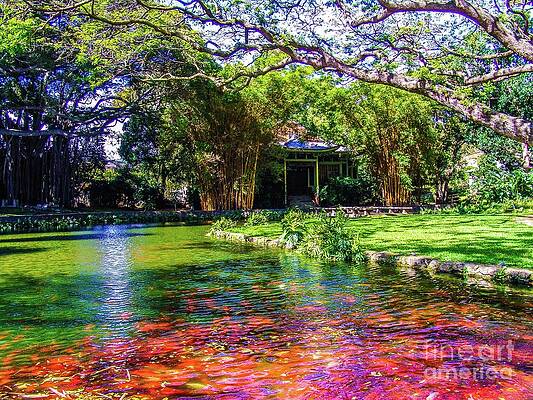 Paradise Somewhere and Koi Fish Pond by D Davila Paradise Somewhere and Koi Fish Pond by D Davila