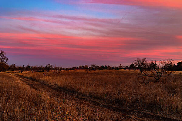Pastel Sunset by John Heywood Pastel Sunset by John Heywood