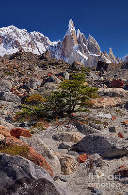 PATAGONIA 00043 by Bernardo Galmarini PATAGONIA 00043 by Bernardo Galmarini