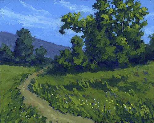 Path Through Spring Meadow by David King Studio Path Through Spring Meadow by David King Studio