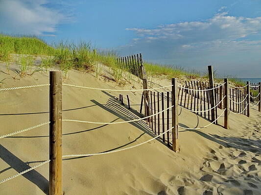 Path to Mayflower Beach, Dennis, Cape Cod, MA by Lyuba Filatova Path to Mayflower Beach, Dennis, Cape Cod, MA by Lyuba Filatova
