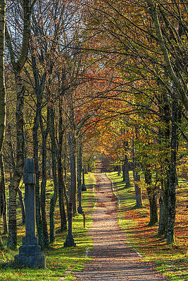 Path to the autumn by ACAs Photography Path to the autumn by ACAs Photography