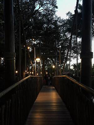 Path Unknown  by Tanya Sigler