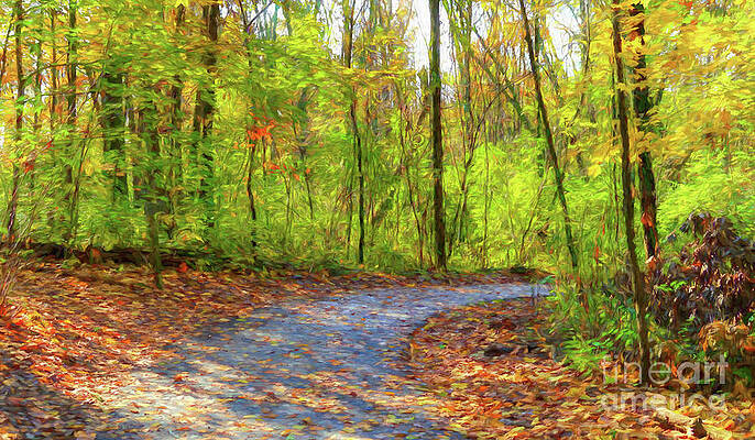 Pathway To Autumn # 2 by Mel Steinhauer Pathway To Autumn # 2 by Mel Steinhauer