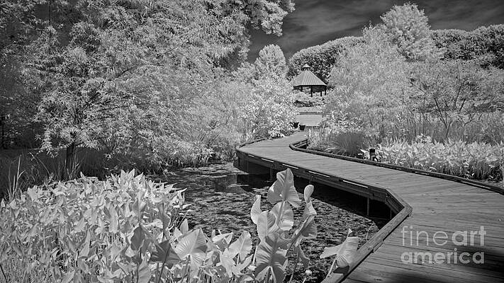 pathway to gazebo by Amy Curtis pathway to gazebo by Amy Curtis