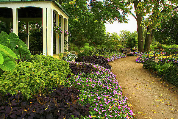 Wall Art - Photograph - Pathway to Tranquility by Deb Beausoleil