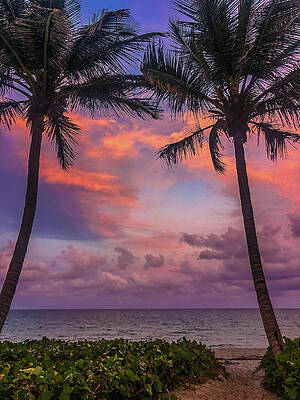 Pathway toTropical Sunset by Jacqueline Bergeron Pathway toTropical Sunset by Jacqueline Bergeron