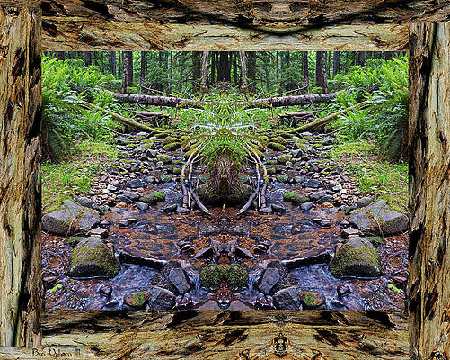 Peaceful Creek Vibrations in a Redwood Bark Frame by Ben Upham III Peaceful Creek Vibrations in a Redwood Bark Frame by Ben Upham III