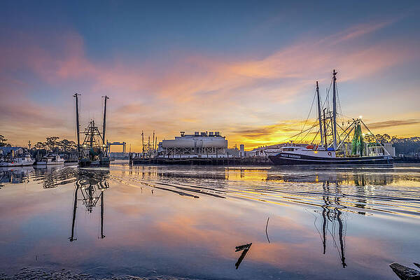 Peaceful Wake, 1/30/21 by Brad Boland Peaceful Wake, 1/30/21 by Brad Boland