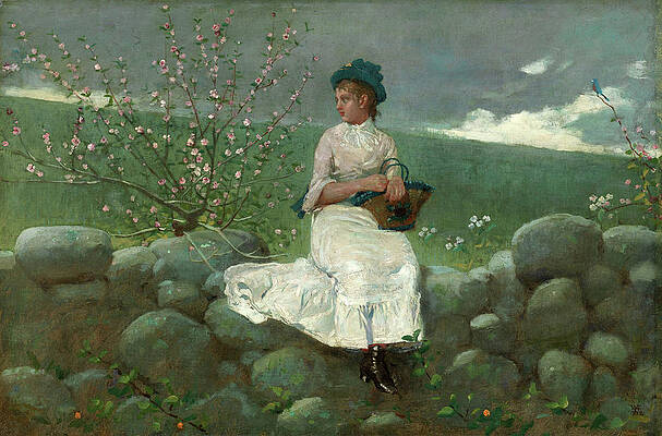 Peach Blossoms 2 Print by Winslow Homer
